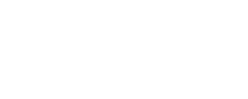 Logo SMBVL blanc